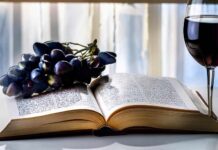 Distillation Le dico du vin : tout savoir du lexique de la vigne et du vocabulaire des vignerons