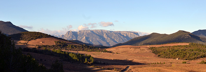 Vue panoramique du vignoble de Saint-Chinian