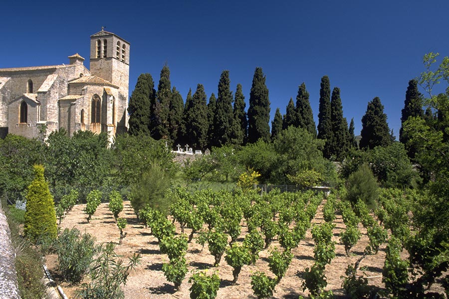 L'abbaye et le vignoble d'Adissan