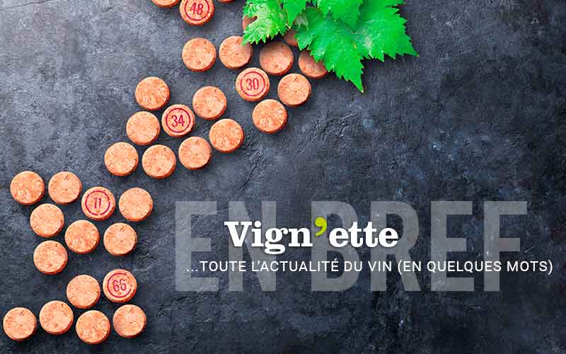 Les brèves du Journal Vign'ette : toute l'actualité du vin en Languedoc en quelques lignes !
