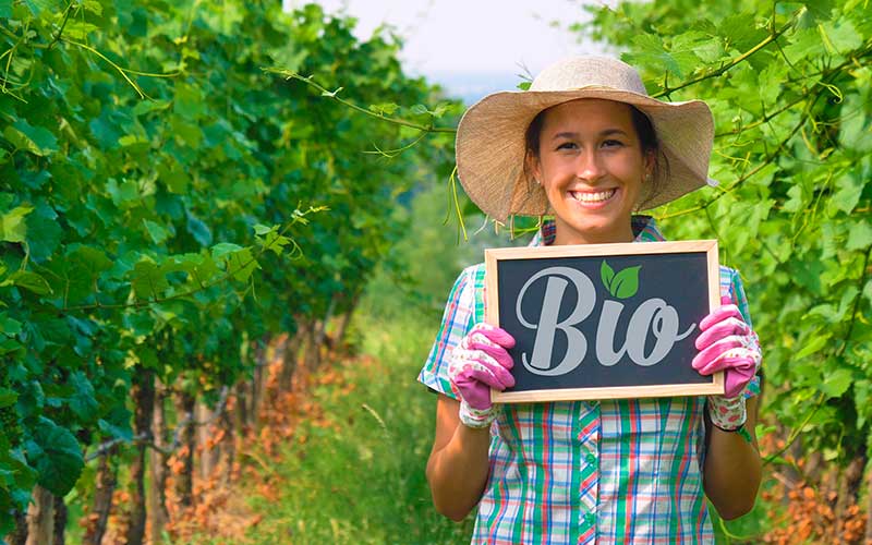 Vigneronne dans ses vignes certifiées bio
