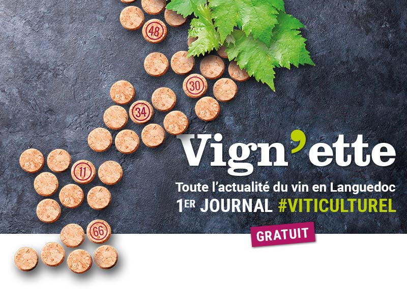 journal-vignette-a-propos-actualite-du-vin-languedoc journal-vignette-a-propos-actualite-du-vin-languedoc