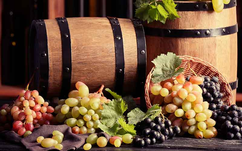 L'origine des cépages et des vignes d'aujourd'hui