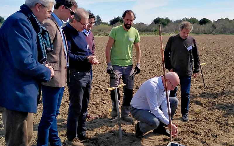 Pech Rouge : inauguration d'une parcelle de cépages résistants | Vignette