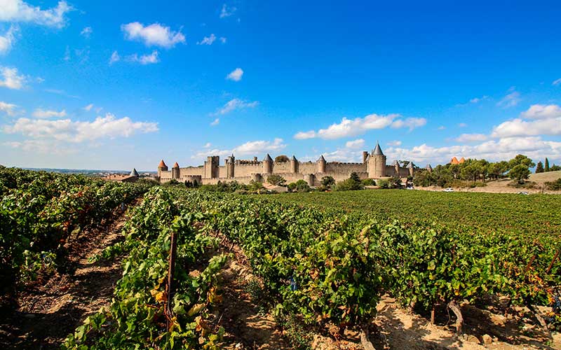 Vin IGP de Territoire : Carcassonne