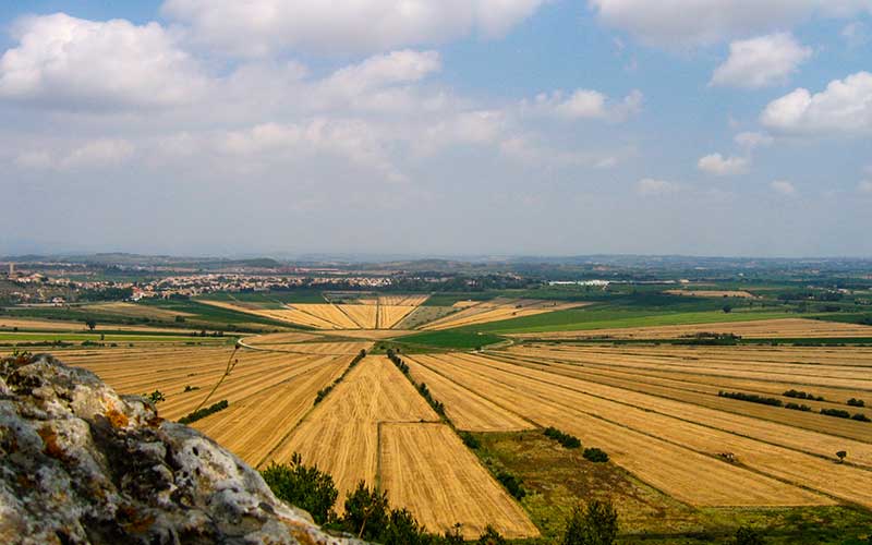 Vin IGP de Territoire : Coteaux d'Ensérune