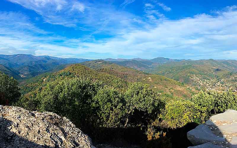 IGP Cévennes, vin du Languedoc