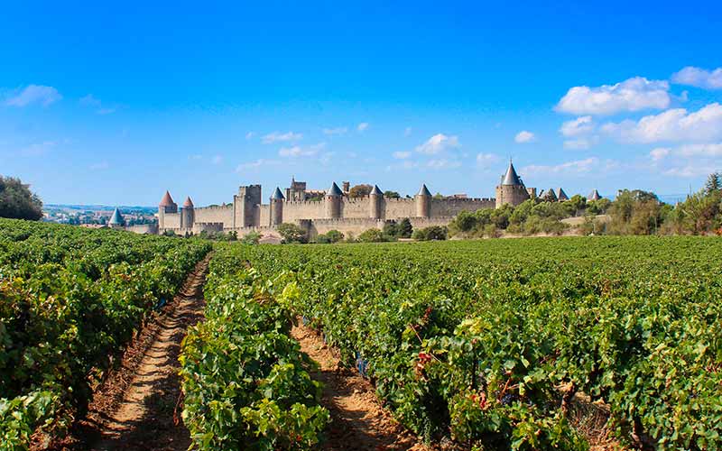 IGP de l'Aude : les vignobles de Carcassonne