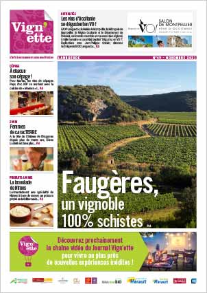 actualite-vin-journal-vignette-telechargement-pdf-049