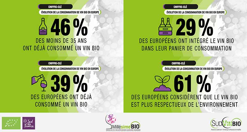 La consommation de vin bio en Europe progresse : les chiffres en détail