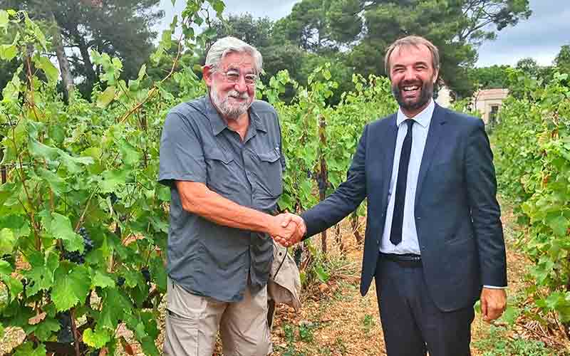 Michael Delafosse aux vendanges solidaires avec les Compagnons de Maguelone