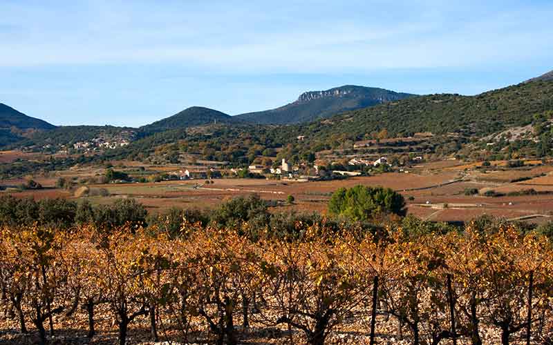 Itinérances en Terrasses du Larzac la toute nouvelle Appli Web innovante de visites du vignoble AOP Terrasses du Larzac