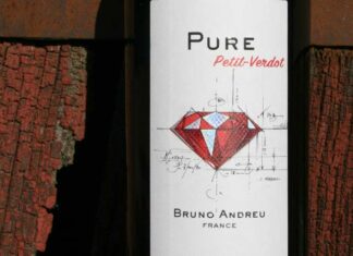 À la découverte des cépages : le petit verdot Découvrez le cépage Petit Verdot avec Bruno Andreu