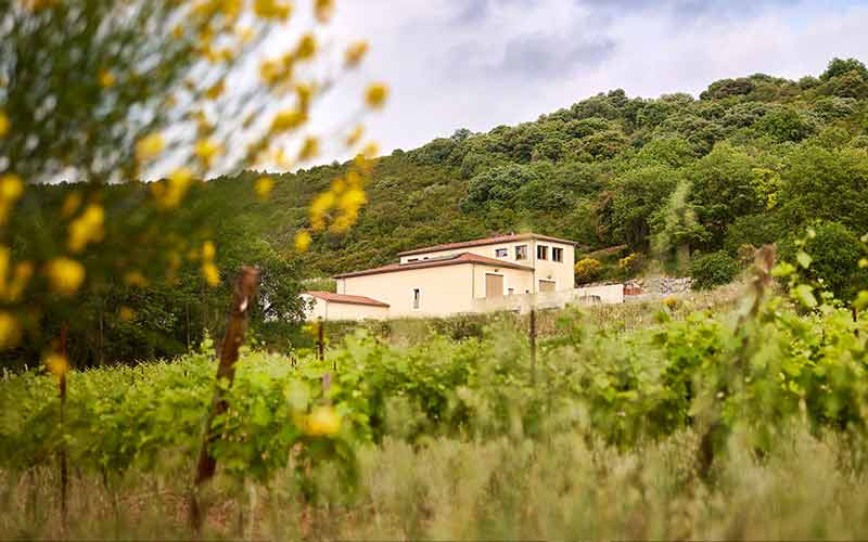 Le Domaine Virgile Joly à Saint-Saturnin de Lucian