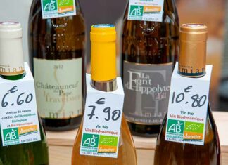 Enquête Millésime Bio – CSA : pour le vin, le bio reste le label de référence