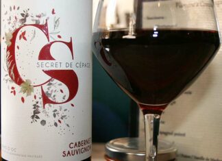 À la découverte des cépages : le cabernet-sauvignon