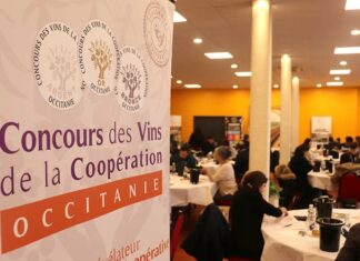 Retour sur le Concours des vins de la Coopération Occitanie La grande salle et le jury du concours des vins de la coopération Occitanie