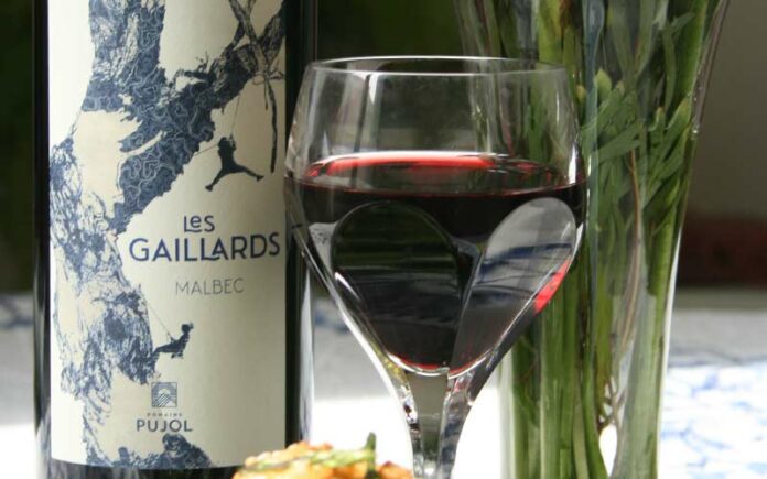 Découvrez le cépage malbec avec la cuvée Les Gaillards IPG Pays d'Oc du Domaine Pujol