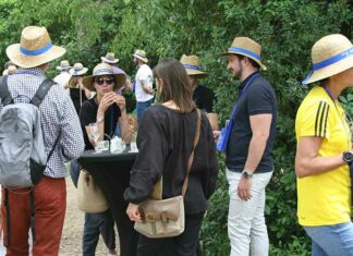 La saison des balades gourmandes commence au coeur de l’AOC Languedoc !