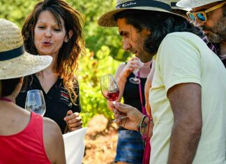La Circulade Vigneronne en Terrasses du Larzac fête ses 20 ans ! Une sortie conviviale : la Circulade des Terrasses du Larzac