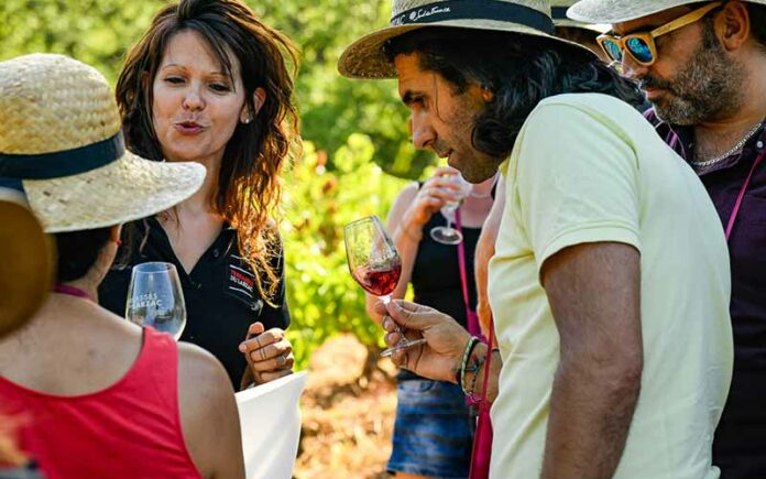 Une sortie conviviale : la Circulade des Terrasses du Larzac