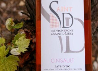 À la découverte des cépages : le cinsault Découvrez le cinsault avec les Vignerons de Saint-Drézéry Pays d'Oc IGP