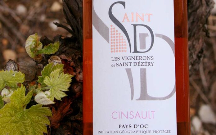 Découvrez le cinsault avec les Vignerons de Saint-Drézéry Pays d'Oc IGP