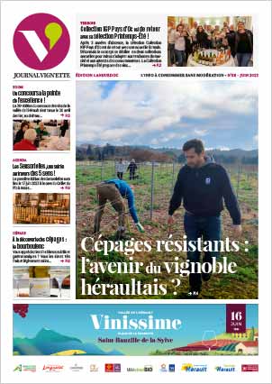 actualite-vin-journal-vignette-telechargement-pdf-068