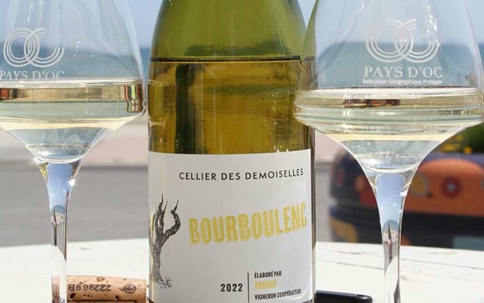 Le bourboulenc, un cépage parfait pour cette cuvée du Cellier des Demoiselles en IGP Pays d'Oc