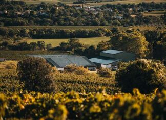 BLB Vignobles devient Maison Le Breton et décroche le label B Corp