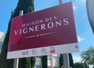 La Fédération Gardoise des Vins IGP présente son plan d’action