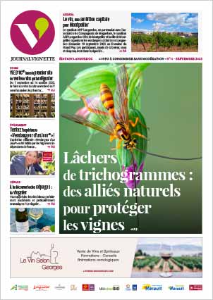 actualite-vin-journal-vignette-telechargement-pdf-071