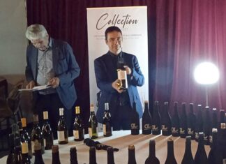 Collection Automne-Hiver 2023 de Pays d’Oc IGP : engagement tenu ! Les lauréats de la Collection Automne-Hiver des vins IGP Pays d'Oc