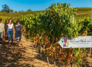 Pour les 10 ans du « Fascinant Week-End », 4 jours d’activités et de festivités au cœur des vignobles d’Occitanie Venez participer au Fascinant Week-End en Occitanie