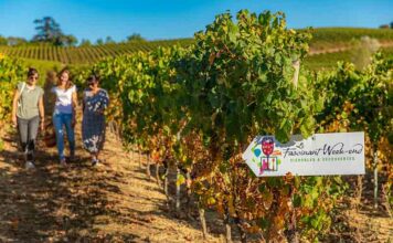 Pour les 10 ans du « Fascinant Week-End », 4 jours d’activités et de festivités au cœur des vignobles d’Occitanie Venez participer au Fascinant Week-End en Occitanie