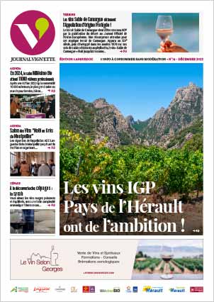 actualite-vin-journal-vignette-telechargement-pdf-074