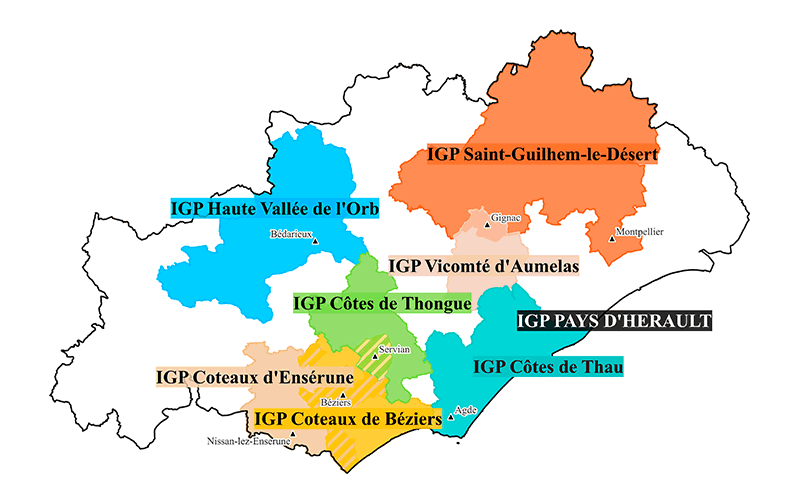 Carte en couleur des vins IGP de l'Hérault