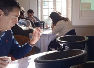 Dégustation de cuvées issues de cépages adaptés à la sécheresse Dégustation de vins issus de cépages résistants à la sécheresse