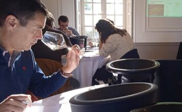 Dégustation de cuvées issues de cépages adaptés à la sécheresse Dégustation de vins issus de cépages résistants à la sécheresse