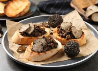 La journée 100 % truffe de la maison des vins du Languedoc revient le 4 février La truffe, une saveur à redécouvrir à la Maison des Vins du Languedoc