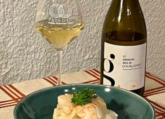 À la découverte des cépages : le grenache gris Découvrez le grenache gris avec la cuvée Grenache Gris de Gourgazaud en IGP Pays d’Oc