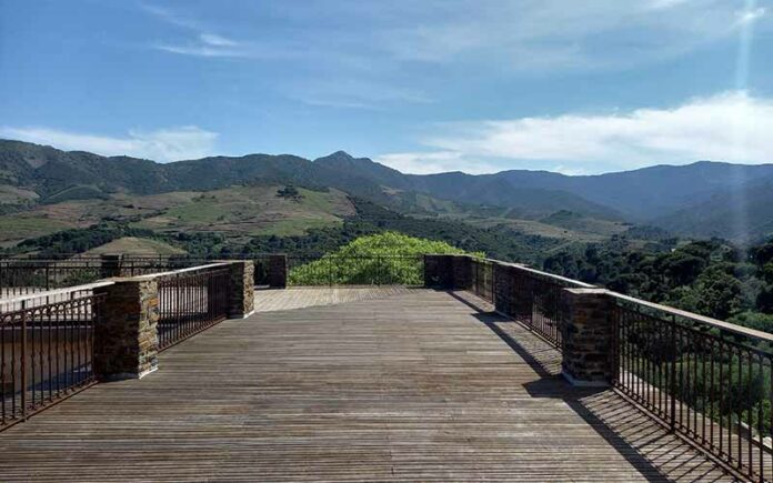 Le campus Banyuls dédié aux métiers du vin