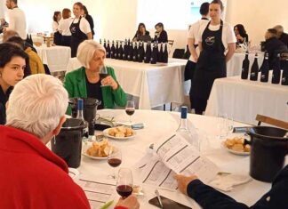 37e édition du concours des vins Vallée de l’Hérault Le jury œuvre durant la 37e édition du concours des vins de la Vallée de l'Hérault