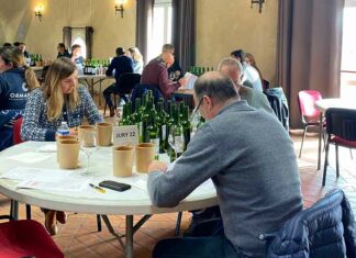 Concours Général Agricole 2024 : un “Palmarès Occitanie” remarquable ! Le Palmarès Occitanie du concours général agricole