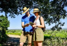 La Circulade en Terrasses du Larzac c'est l'occasion de découvrir tout un terroir