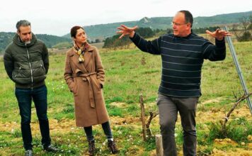 L’agence Les Pépites du Sud récompensée par les Travel & Hospitality Awards 2024 ! Jérôme Villaret, toujours en quête de nouvelles destinations oenotouristiques