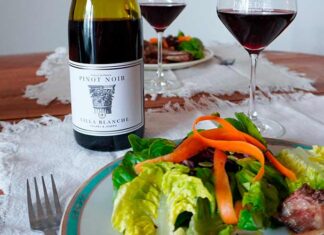 À la découverte des cépages : le pinot noir Découvrez le Pinot Noir en IGP Pays d'Oc avec la cuvée Villa Blanche du Domaine Calmel & Joseph