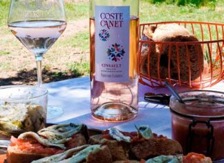 À la découverte des cépages : le cinsault Découvrez un cépage parfait en rosé avec la cuvée Coste Canet Cinsault en IGP Pays d’Oc