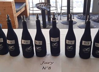 Palmarès du Concours des vins en Vallée de l’Hérault, une nouvelle édition exceptionnelle ! Le palmarès exceptionnel du Concours des vins en Vallée de l’Hérault