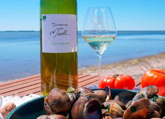 À la découverte des cépages : le colombard Le colombard, un cépage à découvrir avec cette cuvée du Domaine des Maels en IGP Pays d'Oc !